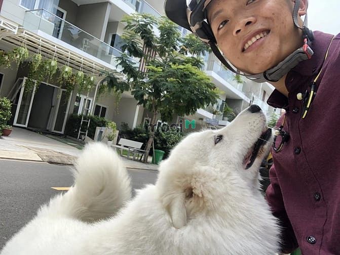 Hình ảnh HungQ9 Tổng Hợp Mua Bán KDC Khang Điền Q9