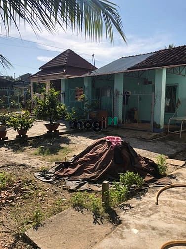 Hình ảnh Bán Gấp trả nợ 253m2 1 tỷ 8 Có TL nha ae