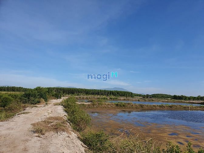Hình ảnh Bán 9 sào đất Tân Thắng - Huyện Hàm Tân sát Biển sổ riêng