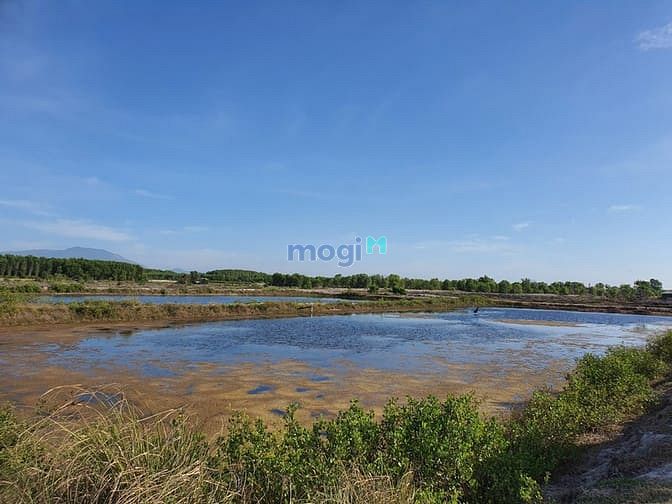 Hình ảnh Bán 9 sào đất Tân Thắng - Huyện Hàm Tân sát Biển sổ riêng