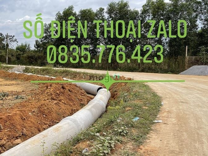 Hình ảnh Đất nền liền kề khu công nghệ cao 450 ha phường hắc dịch