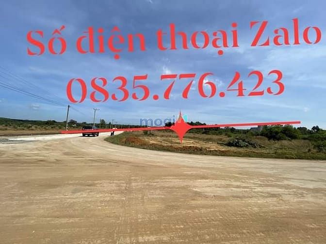 Hình ảnh Đất nền liền kề khu công nghệ cao 450 ha phường hắc dịch
