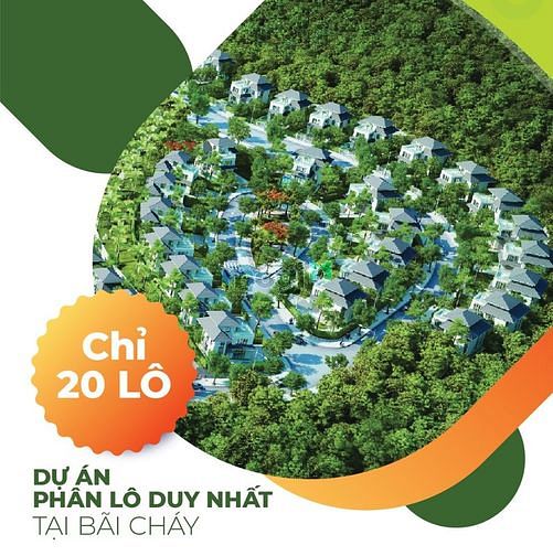 Hình ảnh ĐẤT NỀN Biệt thự Trung tâm Bãi Cháy - Hiếm hoi không bắt xây - SỔ ĐỎ