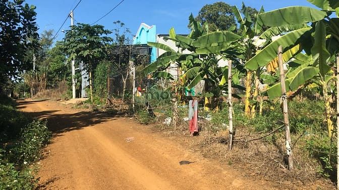 Hình ảnh Đất ấp 94 gần KCN Dầu Giây sổ riêng bán gấp trả nợ MB66 là nhà cái uy tín hàng đầu tại Việt Nam.