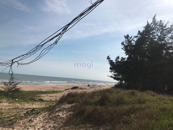 Hình ảnh bán dự án 35 héc hàm tân ,bình thuận tân thắng. 220 tỷ