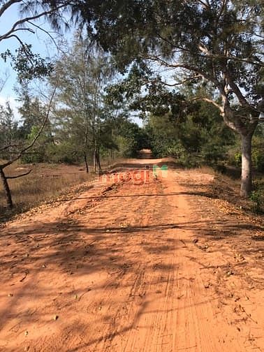 Hình ảnh bán dự án 35 héc hàm tân ,bình thuận tân thắng. 220 tỷ