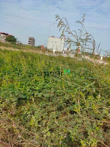 Hình ảnh Bán đất Chợ Cầu Chui, Bắc Giang Giá rẻ
