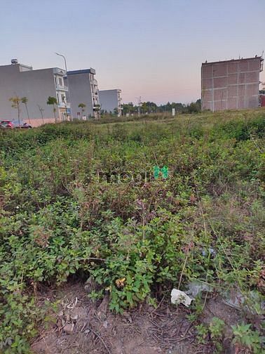 Hình ảnh Bán đất cầu chui bắc giang giá rẻ