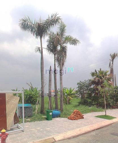 Hình ảnh thanh lý KDC Kim Sơn, MT Lê Văn Lương. Ngay SC Vivo City. 2.2 tỷ