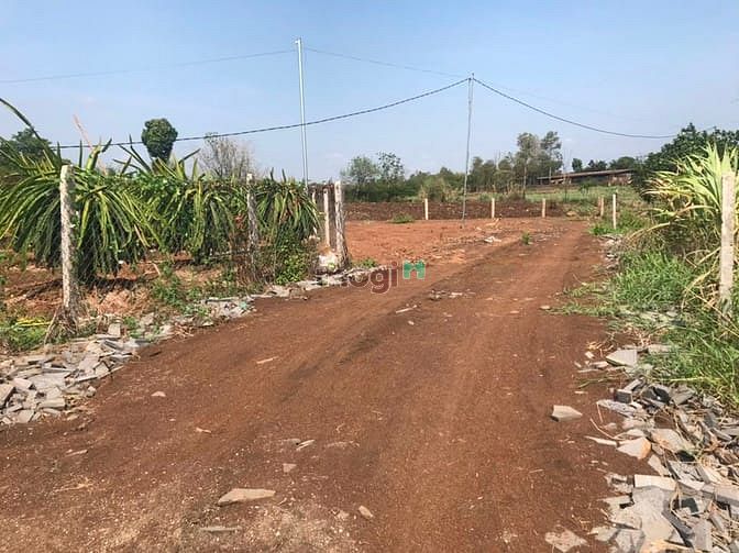 Hình ảnh Đất Trảng Bom 194m2 sổ hồng riêng giá 260 triệu