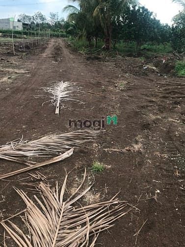 Hình ảnh Đất Trảng Bom 194m2 sổ hồng riêng giá 260 triệu
