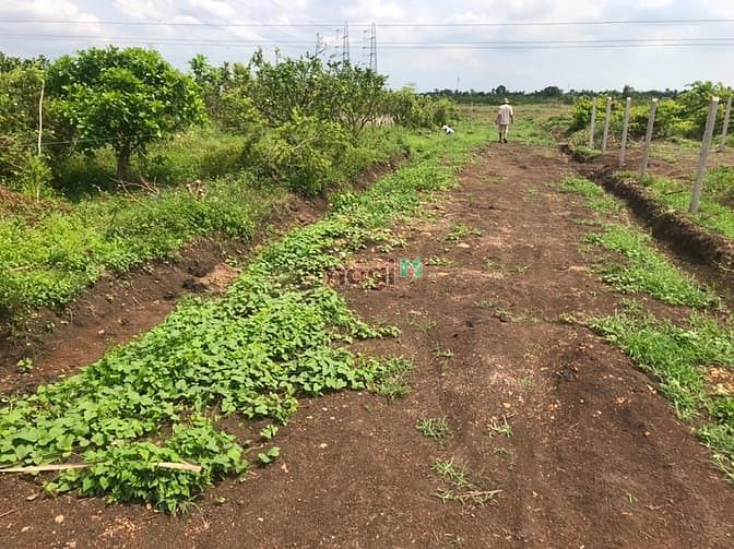 Hình ảnh Đất Trảng Bom 194m2 sổ hồng riêng giá 260 triệu