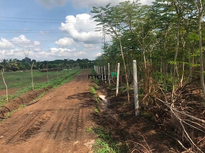 Hình ảnh Đất Trảng Bom 194m2 sổ hồng riêng giá 260 triệu