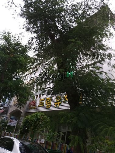 Hình ảnh Cần cho thuê nhà phố Hưng Phước, Phú Mỹ Hưng, quận 7