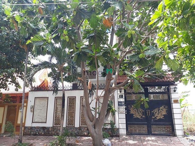 Hình ảnh Bán biệt thự An Phú An Khánh, Q2, 200m2, 3 tầng, 4PN, sổ đỏ