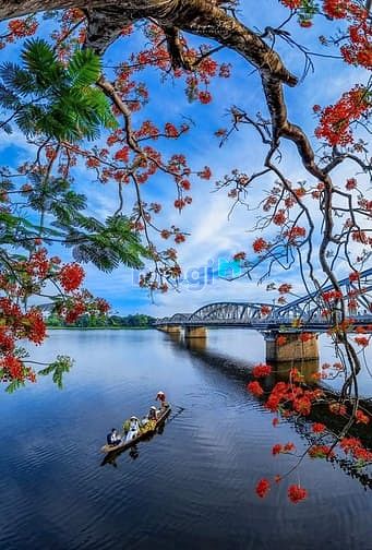 Hình ảnh Bán Gấp Nhà Mặt Tiền Nguyễn Đình Chiểu, P4, Quận 3, DT:4,2MX20M=84m,3l