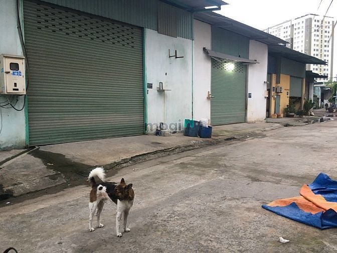 Hình ảnh Thanh lý gấp 2 cái kho và 1 miếng đất 210m2 Mặt tiền đường số 7
