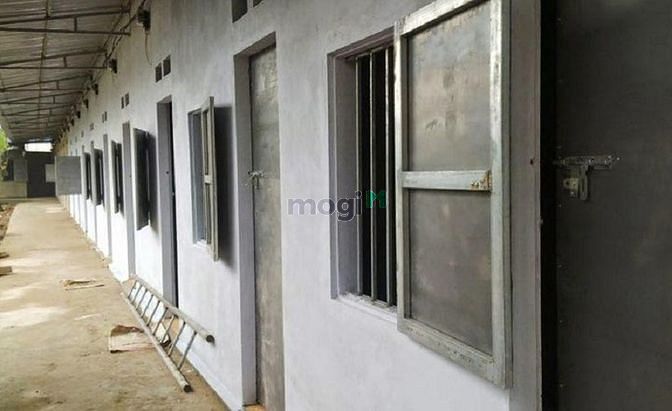 Hình ảnh Phòng trọ 266 Đội Cấn - Tết sale 50% !