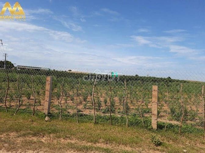 Hình ảnh Đất vườn gần biển, sân bay sẵn sổ!