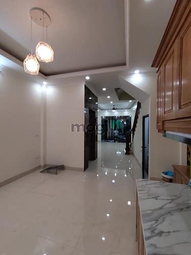 Hình ảnh Đào Tấn, phố VIP, hiếm nhà, ngõ thông, thang máy, dân trí