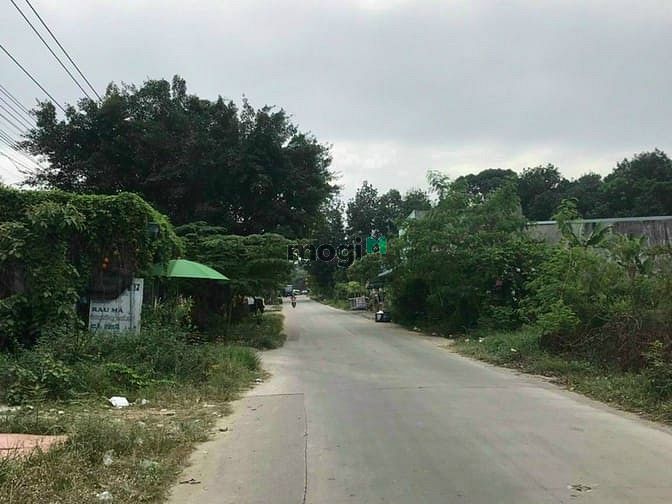 Hình ảnh Mặt tiền Dx065 tái định cư Định Hoà 2