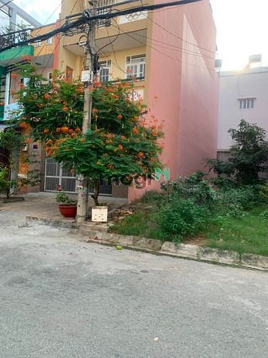 Hình ảnh Thanh lý 85m2,186m2 đất thổ cư, ngay Bệnh Viện Chợ rẫy 2