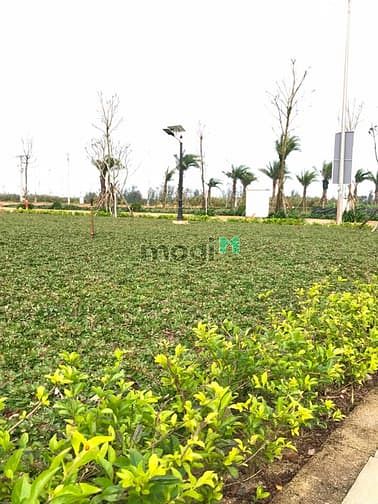 Hình ảnh Bán đất