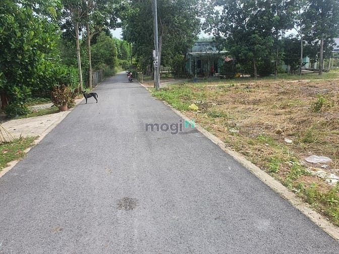 Hình ảnh Cho thuê ĐẤT 2000m2 vị trí đắc địa MẶT TIỀN Đ. Quốc Lộ 50, Bình Chánh.