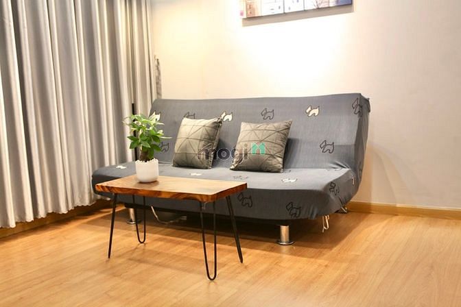 Hình ảnh CHDV _ mặt tiền Cô Bắc _ Quận 1 _ Duplex _ cầu ÔngLãnh _ được nuôi pet