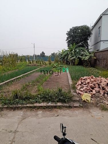 Hình ảnh Bán đất Đông Anh đủ loại S= 50,55,60... m2 giá rẻ để ở, để Trang MB66.COM Chính Thức - MB 66 Uy Tín