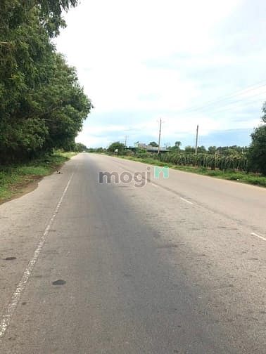 Hình ảnh Bán đất thổ cư đường Hòn Lan, Tân Thanh, Hàm Thuận Nam gần Thanh Long