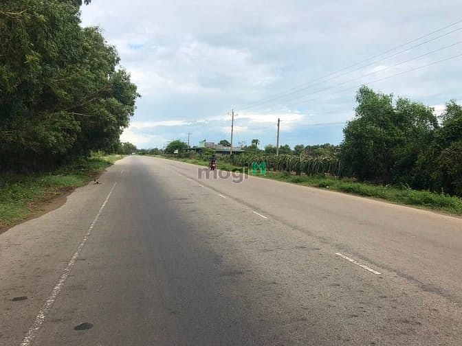 Hình ảnh Bán đất thổ cư đường Hòn Lan, Tân Thanh, Hàm Thuận Nam gần Thanh Long