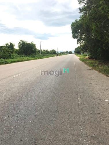 Hình ảnh Bán đất thổ cư đường Hòn Lan, Tân Thanh, Hàm Thuận Nam gần Thanh Long
