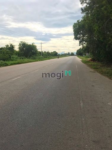 Hình ảnh Bán đất thổ cư đường Hòn Lan, Tân Thanh, Hàm Thuận Nam gần Thanh Long