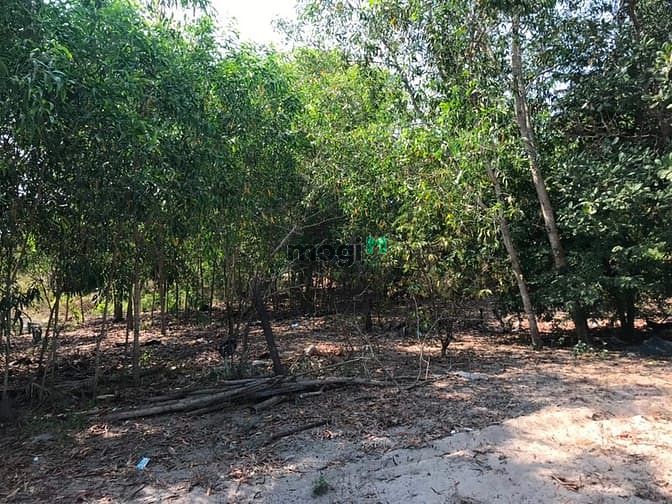 Hình ảnh Bán 1 mẫu đất gần biển Hồ Lân . Tân Thắng , Bình Thuận.