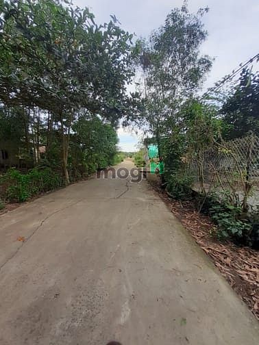 Hình ảnh MT 769 xã lộ 25 vào 300m ,đất thổ giá rẻ cực kì
