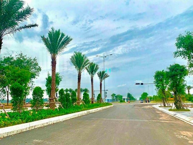 Hình ảnh Đất nền Long Thành gần sân bay quốc tế Long Thành