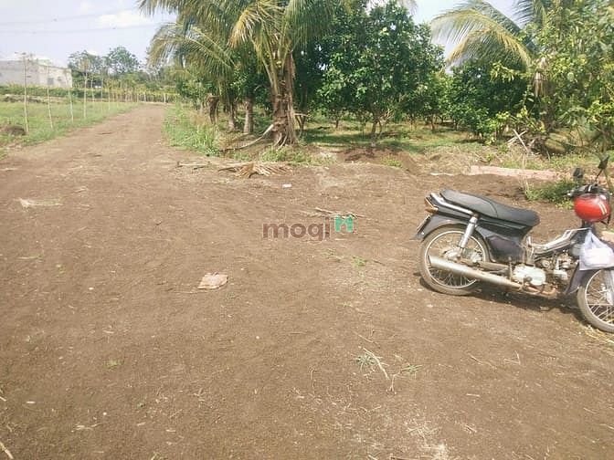 Hình ảnh Đất sổ riêng 1 người đứng tên khu vực trảng bom - hàng hiếm lắm luôn