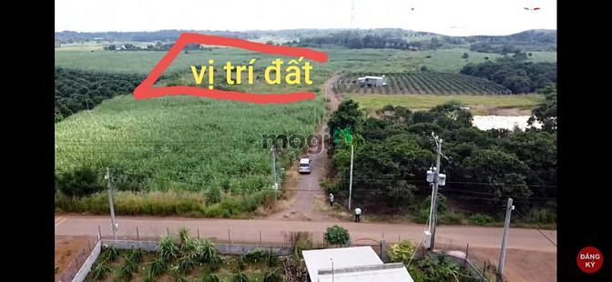 Hình ảnh Đất sổ riêng 1 người đứng tên khu vực trảng bom - hàng hiếm lắm luôn