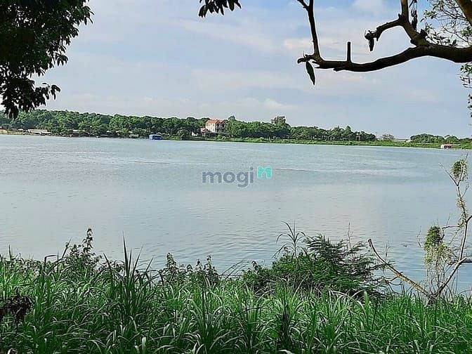 Hình ảnh Bán gấp 6000m2 đất bám hồ lớn nhất ở Lương Sơn, Hòa Bình.