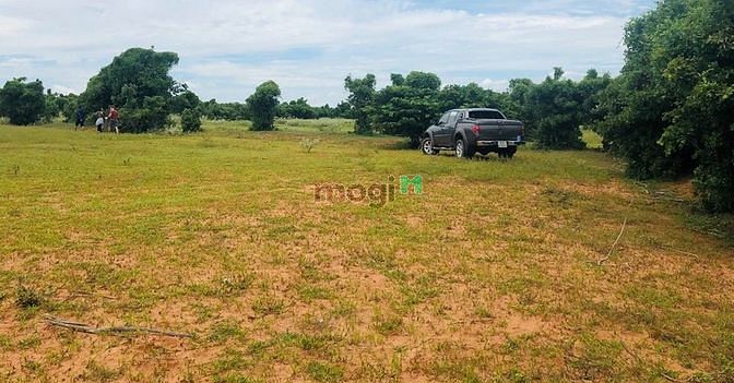 Hình ảnh Cần bán đất Bắc Bình, Bình Thuận, sổ đỏ sẵn, gần đường quy hoạch