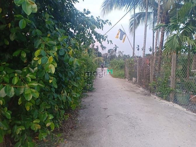 Hình ảnh Đất thổ cư 5.5x23m nở hậu 6.5m Hà Duy Phiên, Bình Mỹ, sổ hồng riêng
