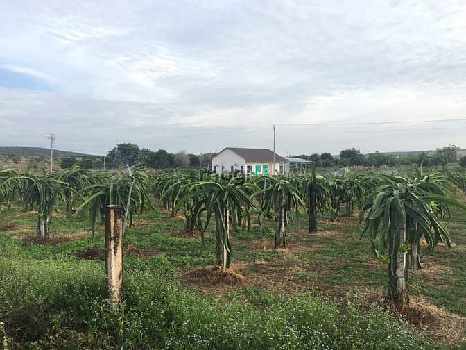 Hình ảnh Bán gấp lô đất giá rẻ, thanh toán công nợ