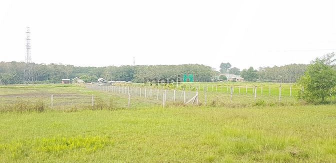 Hình ảnh Cần ra đất ở khu CN Tây Bắc ( đất đã có sổ )
