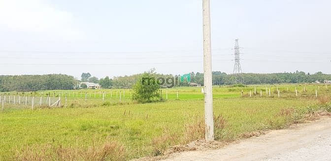 Hình ảnh Cần ra đất ở khu CN Tây Bắc ( đất đã có sổ )