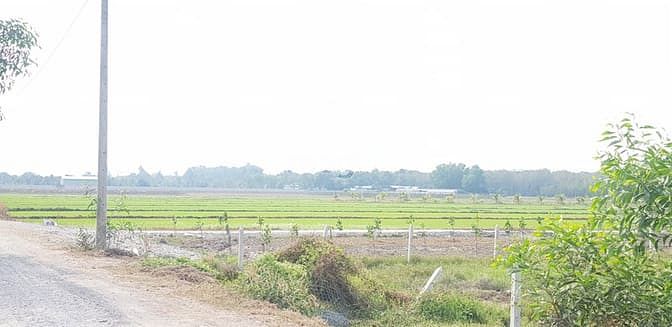 Hình ảnh Cần ra đất ở khu CN Tây Bắc ( đất đã có sổ )