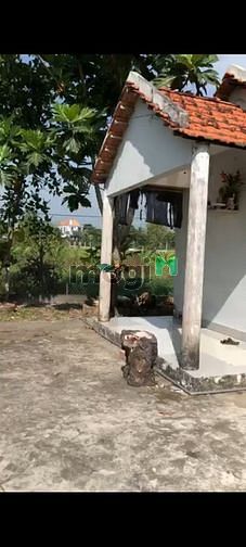 Hình ảnh Đất Lúa 2800 có 534 thổ cư Quy hoạch dân cư hiện hữu Ngay Thị Trấn