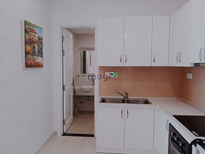 Hình ảnh ✔ Cho thuê CHCC SAIGON MIA 50m 1pn 1wc - nội thất đầy đủ