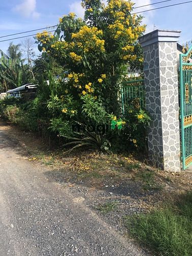 Hình ảnh Đất tân ngãi vị trí đẹp lộ Oto