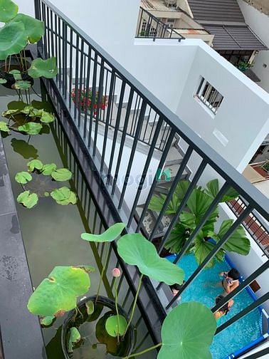 Hình ảnh Bán nhà MT đường Cách Mạng Tháng 8, Quận
